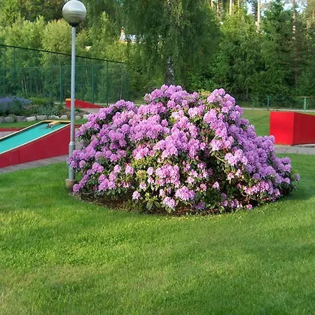 Charming Near & Nature Hébergement de vacances *