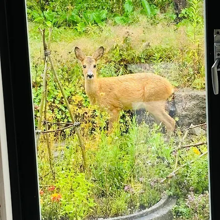 펜션 Charming Near & Nature 사릅스보르그